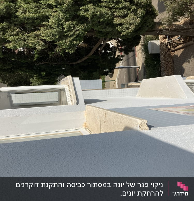 דוקרנים על אדן חלון למניעת יונים